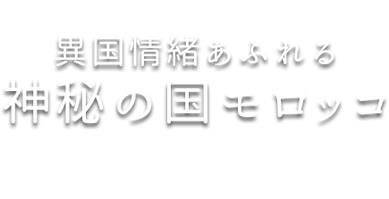 異国情緒あふれる神秘の国モロッコ